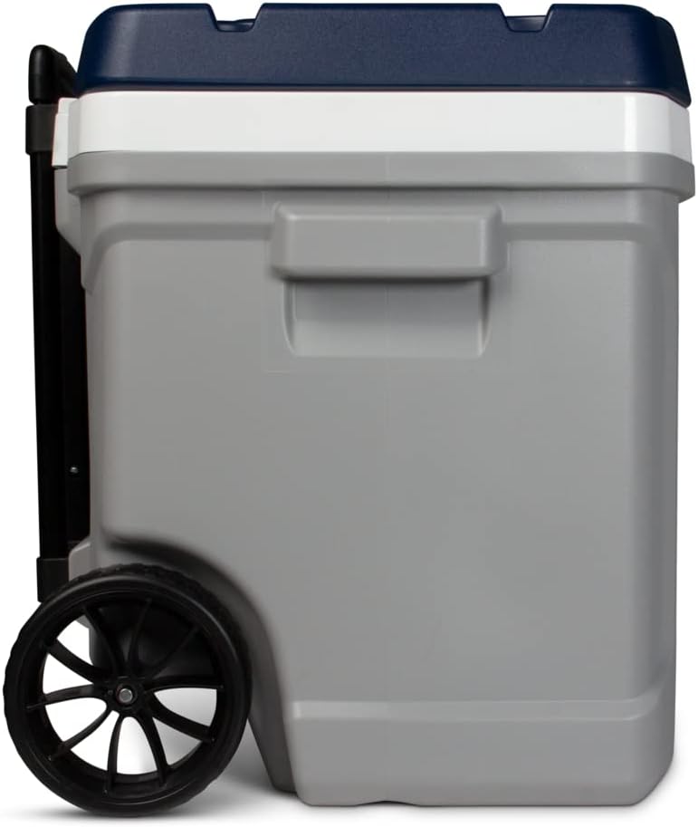Igloo Maxcold Latitude Cooler | Insulated Hard Shell Ice Chest