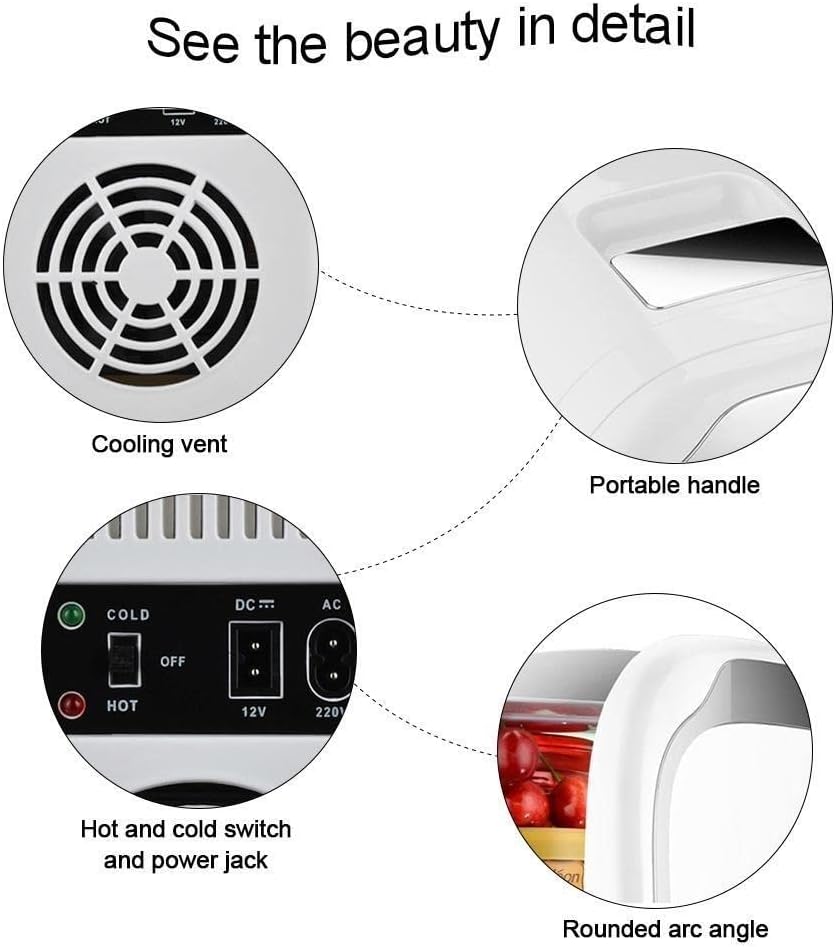 12V Mini Fridge Electric Cooler 6L Liter Use Hot Cold Box Mini Small Refrigerator for Car and Family Outdoor Travel