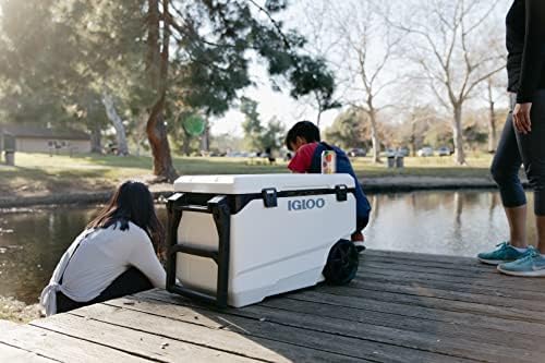 Igloo Marine Cooler | Insulated Hard Shell Ice Chest |Great for Fishing, Camping, Boating, & More
