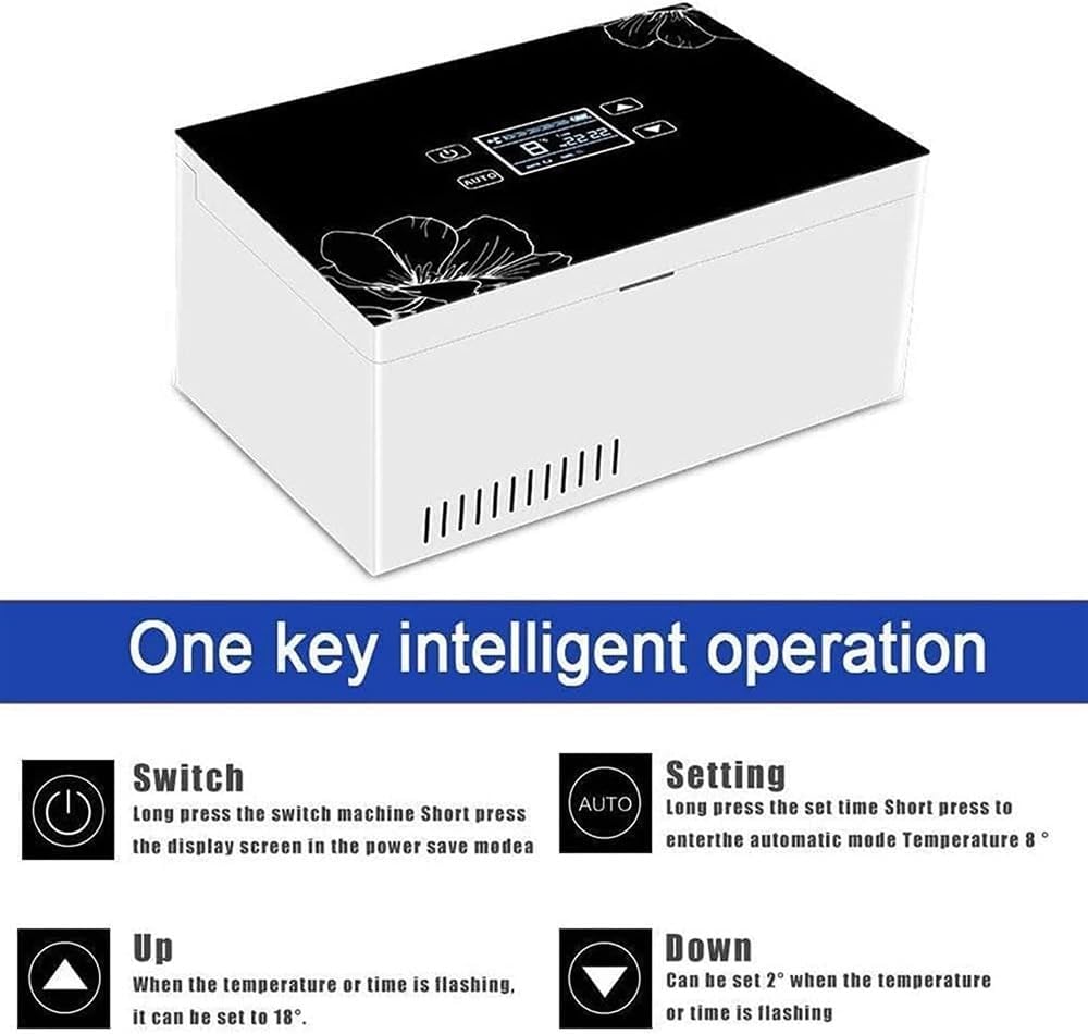 Insulin Cool Box Refrigerator, Electric Cooler Mini Cool Box Cooler Bag Electric Insulin Cooler Container Thermostat USB Suitable for Travel/Interferon/Storage of Medicines, 2 Battery