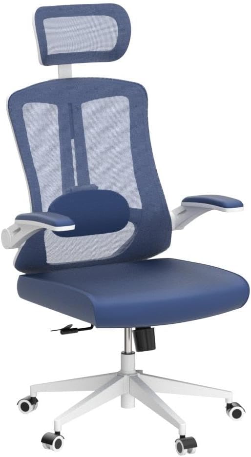 balmstar Ergonomic Office Chair Desk Chair - Mesh Computer Chair with 360° Swivel Wheels, Adjustable 90-130° Recline & Lumbar Support for Home Office, Supports up to 350lbs