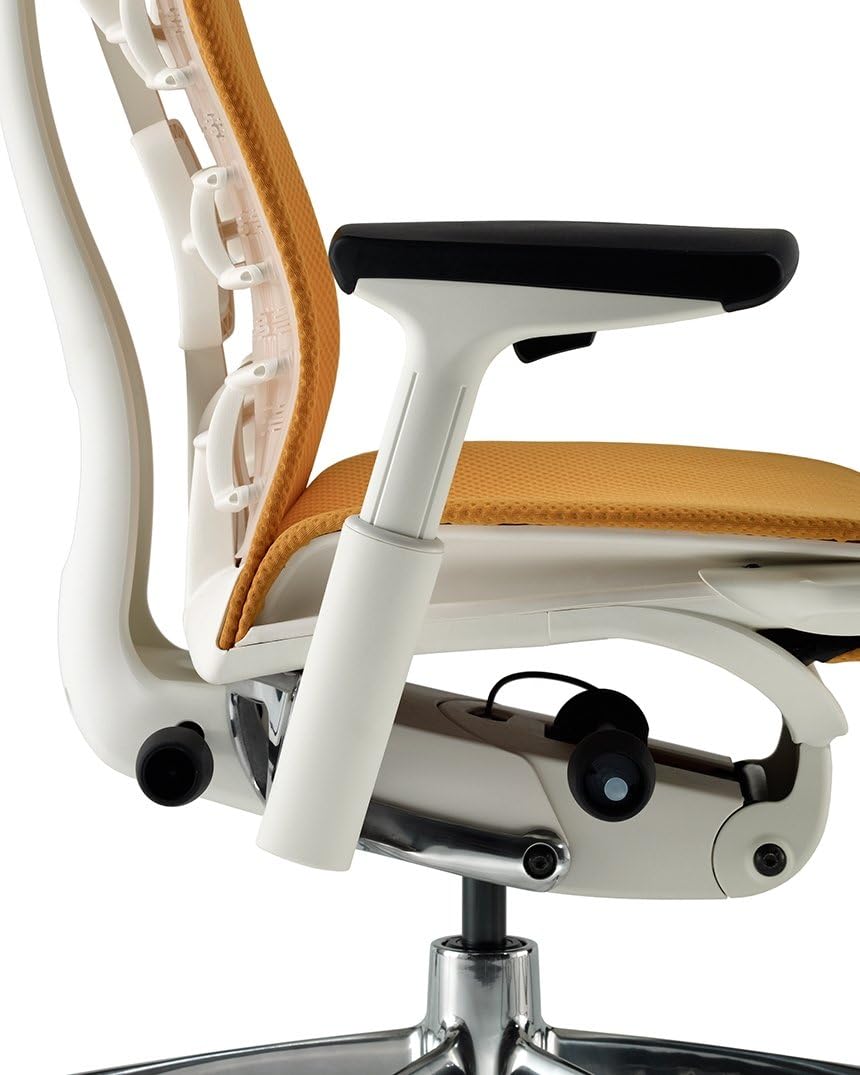 Herman Miller Embody Chair Home Office Desk Task Chair with Adjustable Arms Polished Aluminum Chrome Base White Frame and Rhythm Black Fabric Plus H9 Clear Translucent Hard Floor Caster Wheels