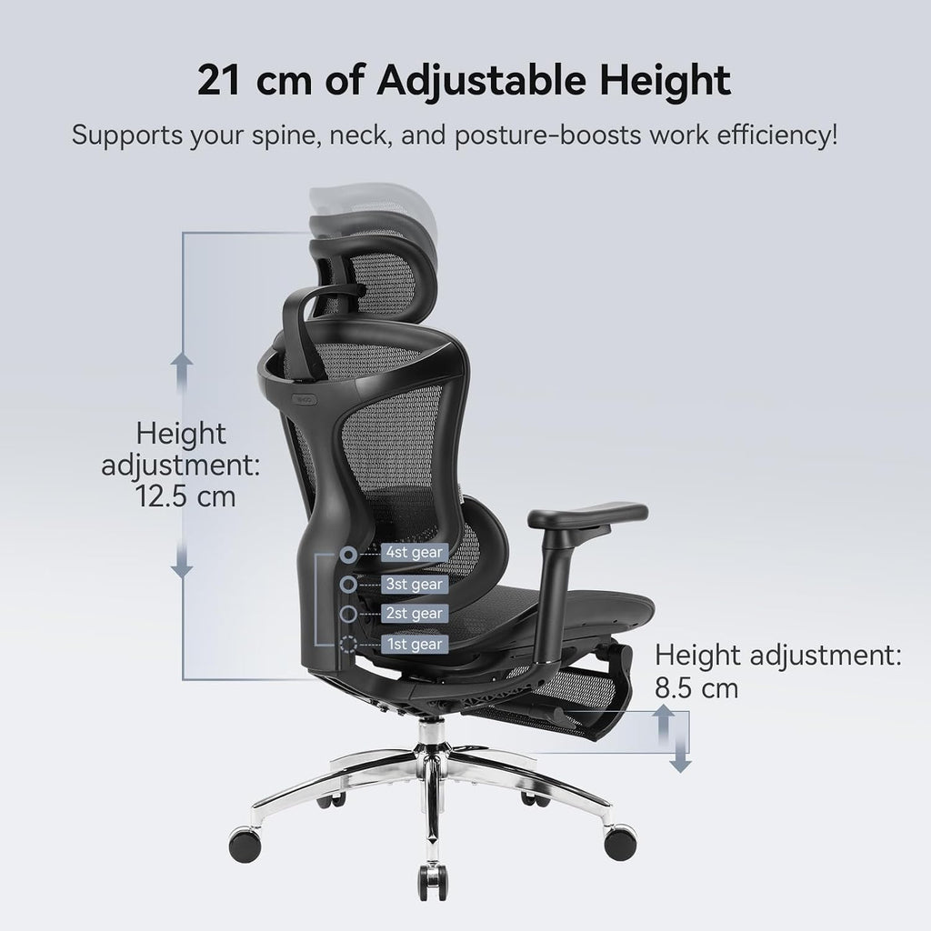 SIHOO Doro C300 Ergonomic Office Chair with Footrest, Ultra Soft 3D Armrests, Dynamic Lumbar Support for Home Office Chair, Adjustable Backrest Desk Chair, Swivel Big and Tall Computer Chair (Black)