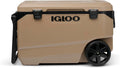 Igloo Maxcold Latitude Cooler | Insulated Hard Shell Ice Chest