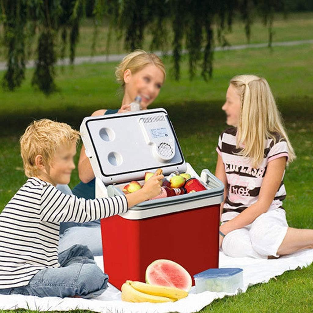 Electric Cool Box 24L PortableCar Refrigerator Freeze Heating Fridge Compressor Plug Picnic Refrigeration Heating(D)