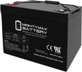 Mighty Max Battery 12V 100Ah SLA AGM Battery for Eco-Pro Portable Solar Generator