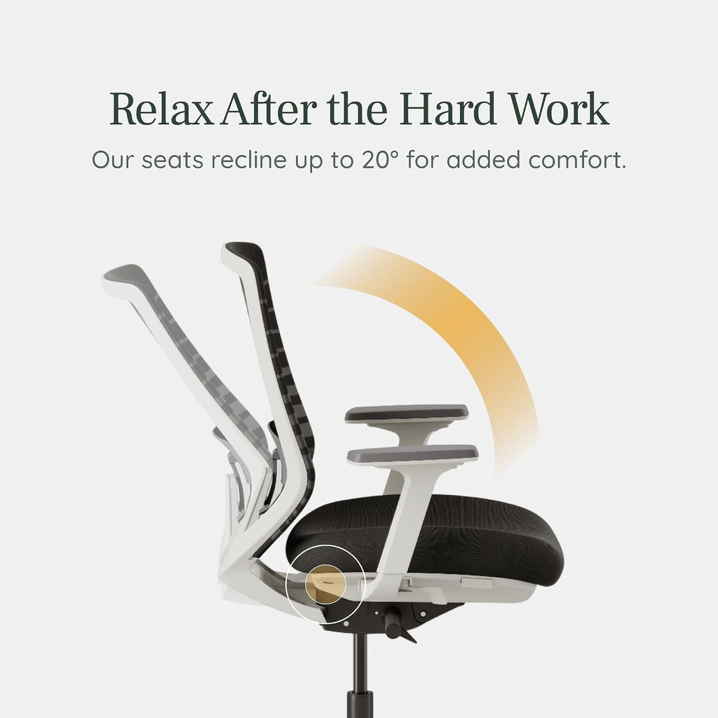 Branch Ergonomic Chair - A Versatile Desk Chair with Adjustable Lumbar Support, Breathable Mesh Backrest, and Smooth Wheels - Experience Optimal Comfort and Support - Baltic