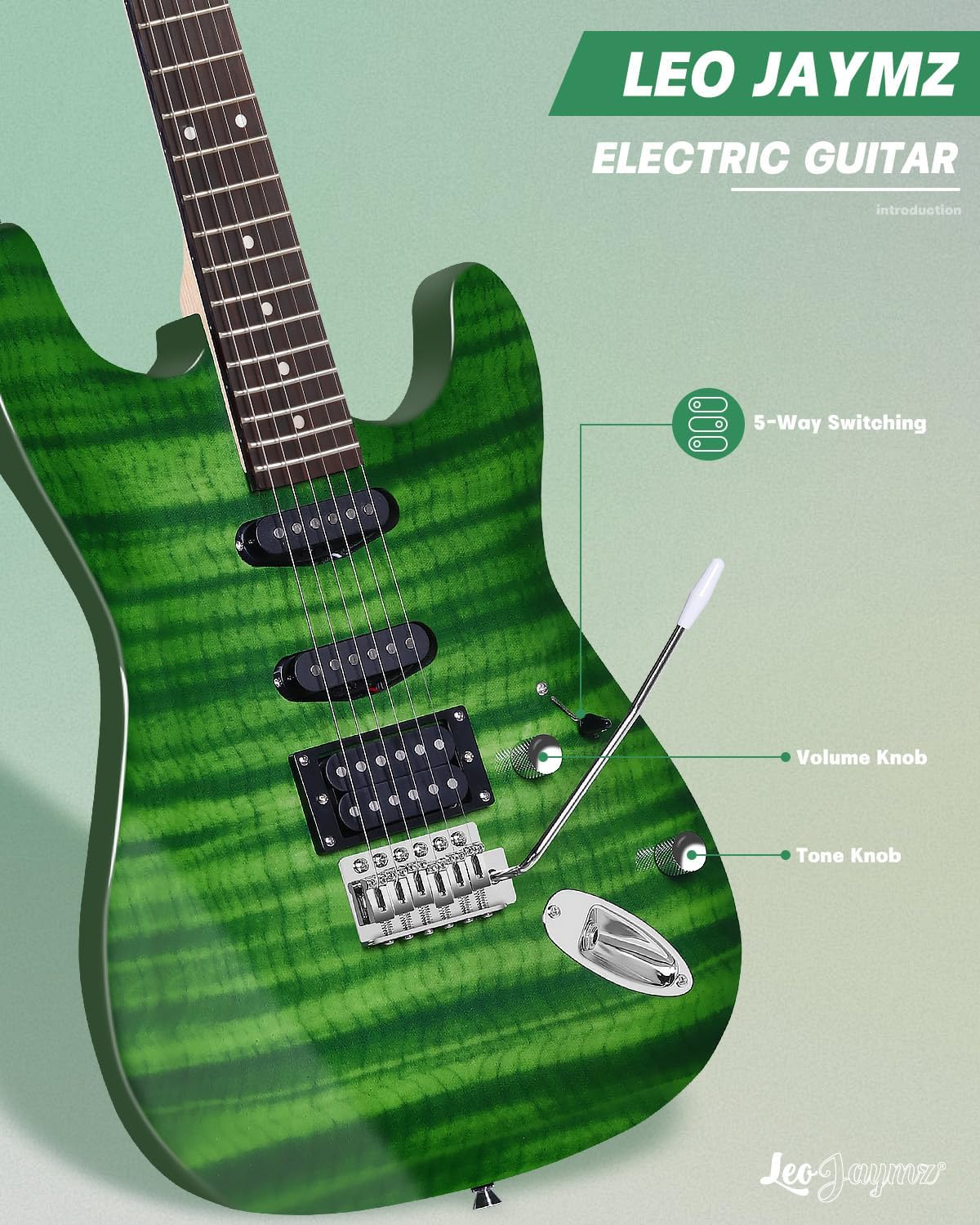 Leo Jaymz 39' Full Size ST Style Electric Guitar Starter Kit with SSH Pickup, 5W Portable Amp, Tuner, Gig Bag, Strap & Accessories (Green Flame)