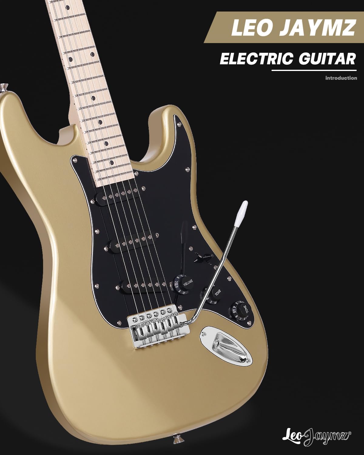 Leo Jaymz 39' Full Size ST Style Electric Guitar Starter Kit with SSS Pickups, 5W Portable Amp, Tuner, Gig Bag, Strap & Accessories(Gold 5W)