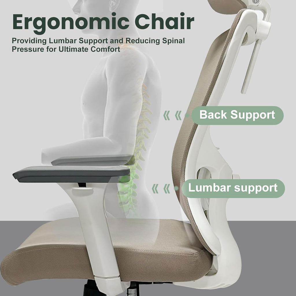 Ergonomic Office Chair - 350LB Mesh Office Chair with Adjustable Lumbar, High Back Computer Chair with 3D Armrests, Comfy Chair with 2D Headrest & Tilt Function for Study, Work, Gaming