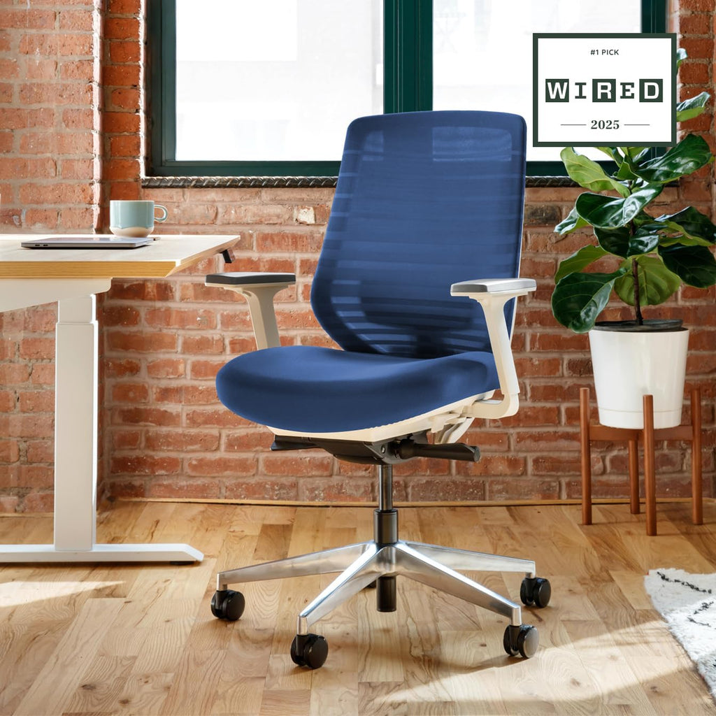 Branch Ergonomic Chair - A Versatile Desk Chair with Adjustable Lumbar Support, Breathable Mesh Backrest, and Smooth Wheels - Experience Optimal Comfort and Support - Baltic