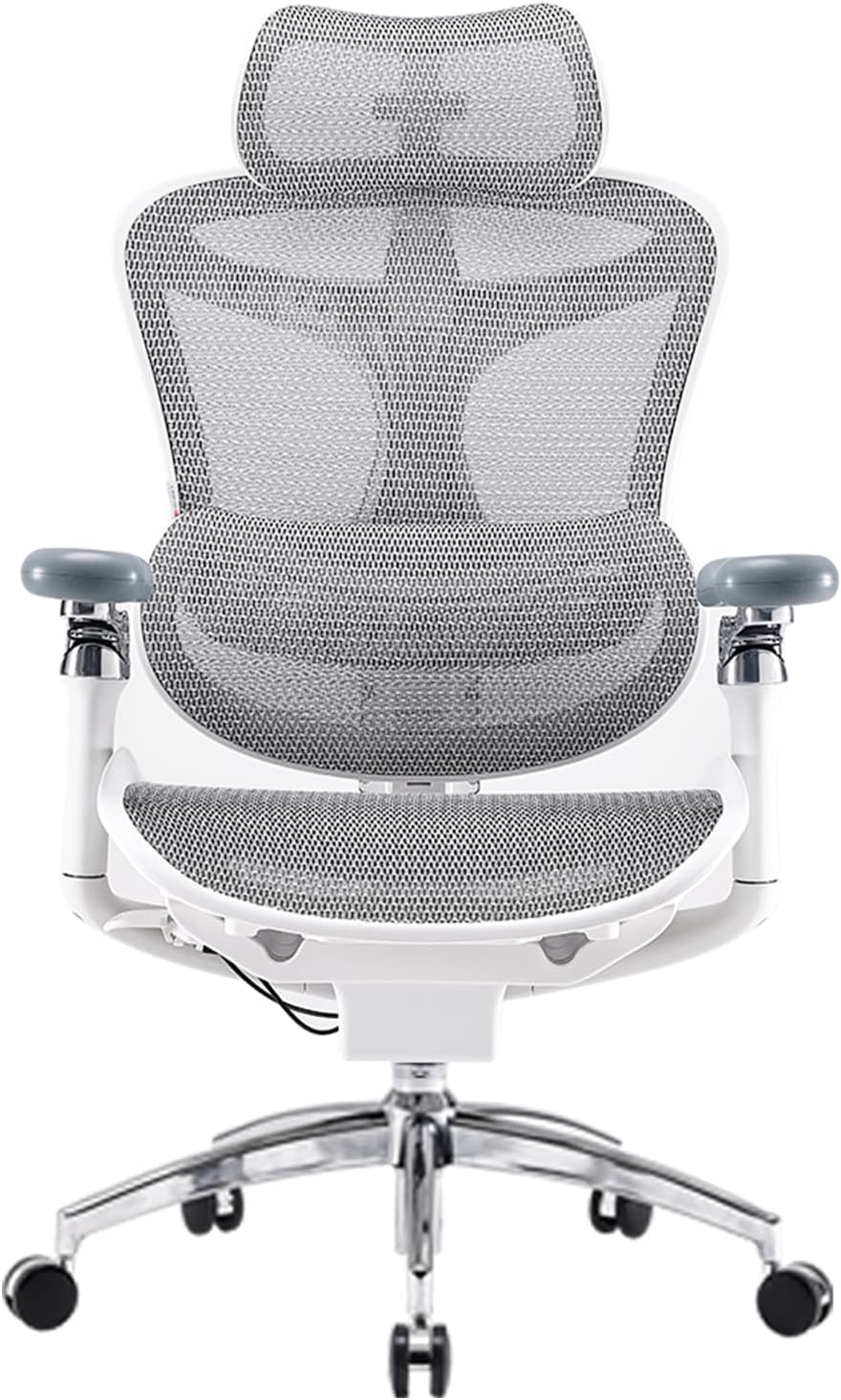 SIHOO Doro C300 Pro Ergonomic Office Chair with Ultra-Soft 6D Armrests, Dynamic Lumbar Support, Seat Depth Adjustment, Adjustable Backrest, Big and Tall Desk Chair for Home Office (Grey)