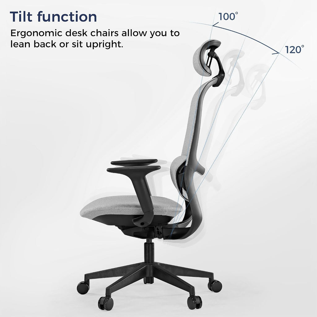 EUREKA ERGONOMIC Mesh Office Chair,Ergonomic Office Chair Lumbar Support,Comfortable Home Office Desk Chair with Adjustable Headrest & Armrests, Tilt Control Mechanism, Grey
