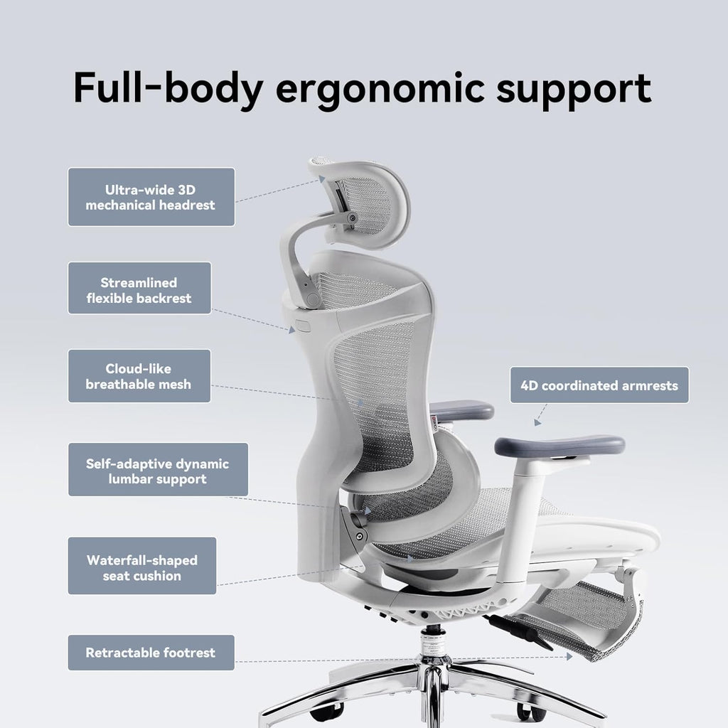 SIHOO Doro C300 Ergonomic Office Chair with Footrest, Ultra Soft 3D Armrests, Dynamic Lumbar Support for Home Office Chair, Adjustable Backrest Desk Chair, Swivel Big and Tall Computer Chair (Grey)