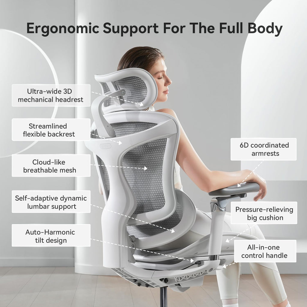 SIHOO Doro C300 Pro Ergonomic Office Chair with Ultra-Soft 6D Armrests, Dynamic Lumbar Support, Seat Depth Adjustment, Adjustable Backrest, Big and Tall Desk Chair for Home Office (Grey)