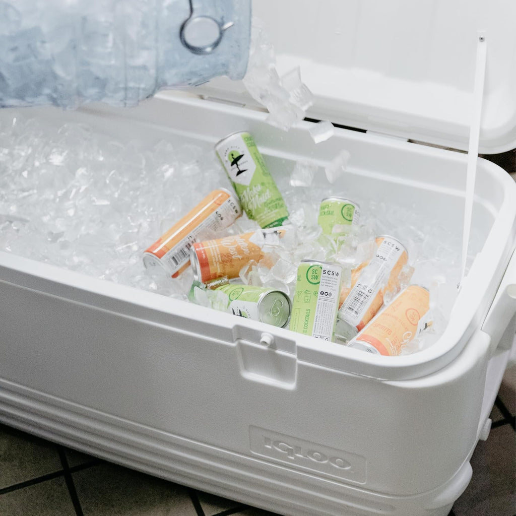 Igloo Hard Cooler | Polar & Party Bar Series | Insulated Ice Chests