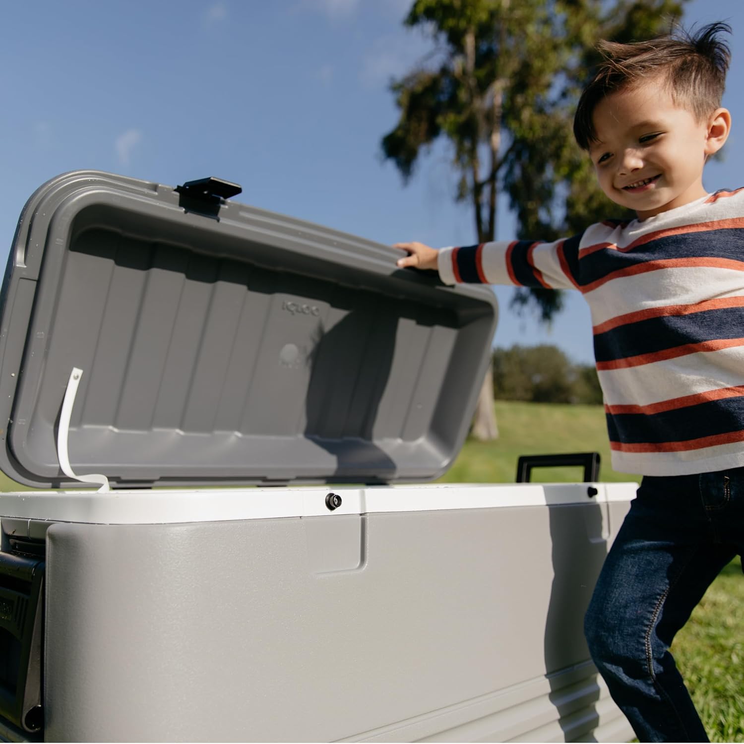 Igloo Hard Cooler | Polar & Party Bar Series | Insulated Ice Chests