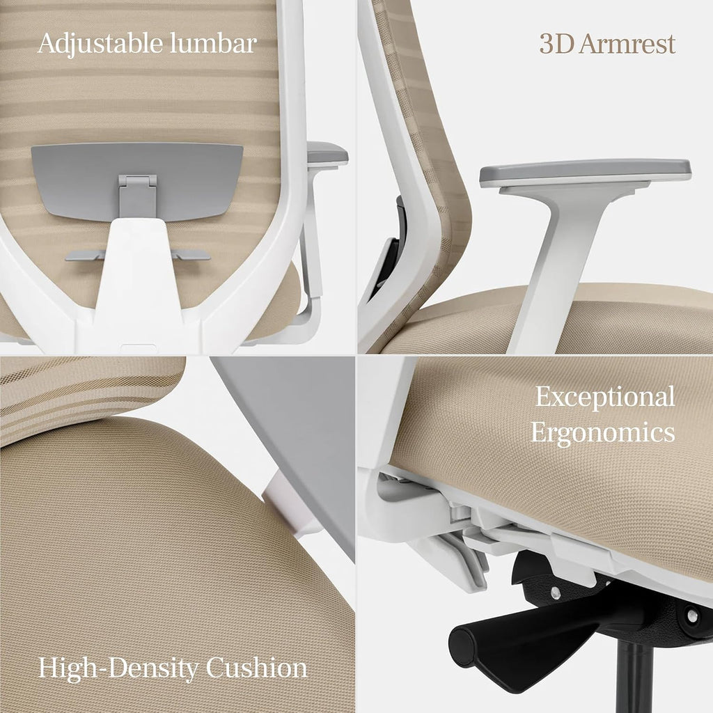 Branch Ergonomic Chair - A Versatile Desk Chair with Adjustable Lumbar Support, Breathable Mesh Backrest, and Smooth Wheels - Experience Optimal Comfort and Support - Baltic