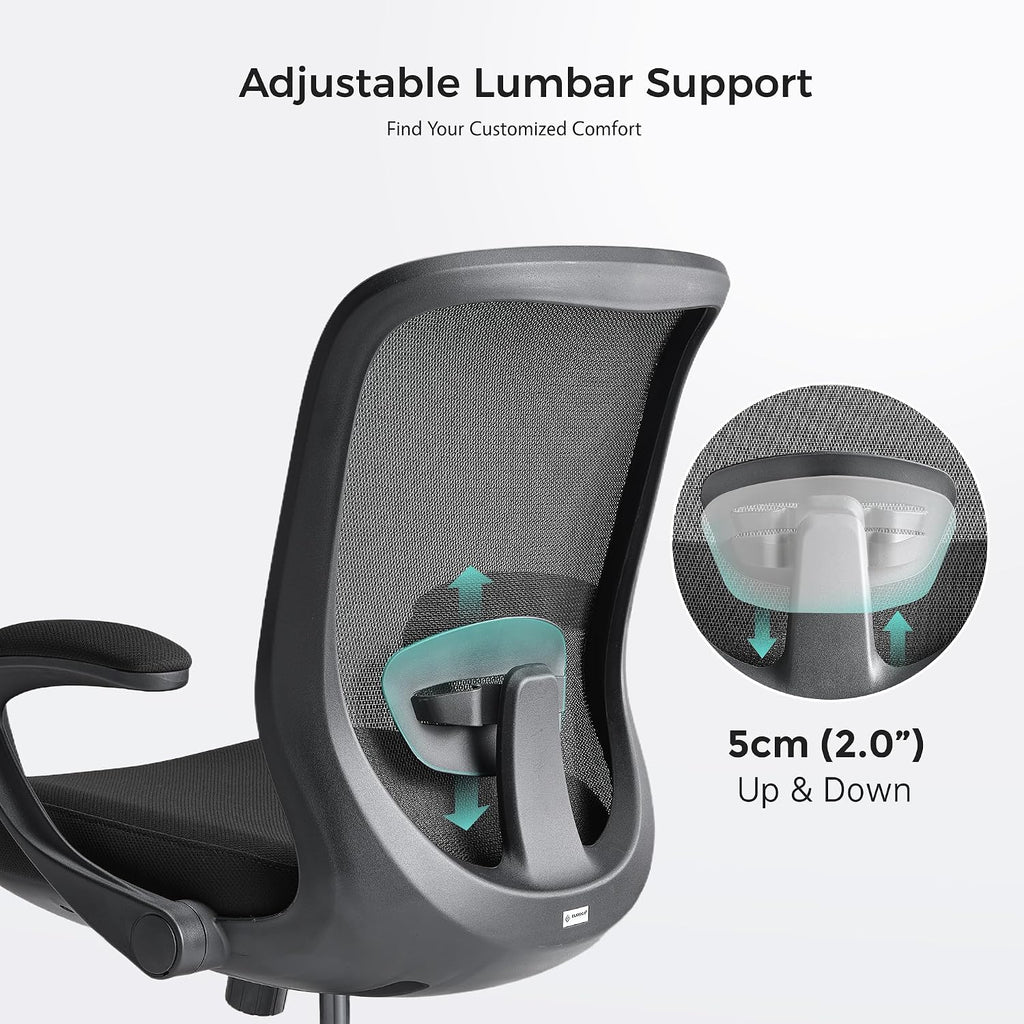 EUREKA ERGONOMIC Armis Ergonomic Office Chair with Back Support Flip up Arms, Home Office Desk Chair for Space Saving, Black, Breathable Backrest Mesh