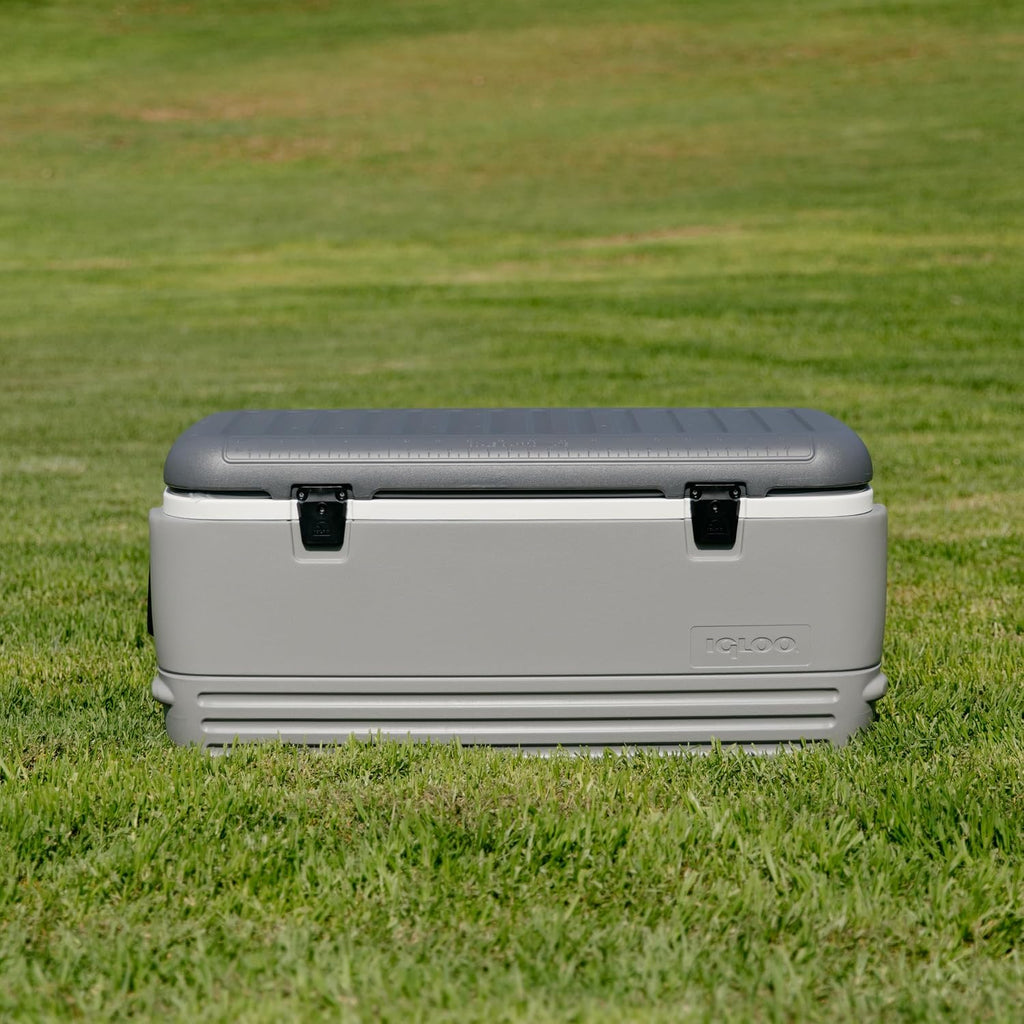 Igloo Hard Cooler | Polar & Party Bar Series | Insulated Ice Chests