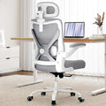 Ergalithic Ergonomic Office Chair - Computer Desk Chairs Comfy, Mesh High-Back Gaming Chair with Adjustable Lumbar Support, Executive Task Chair for Adults, Comfortable for Long Hours (Grey Silver)