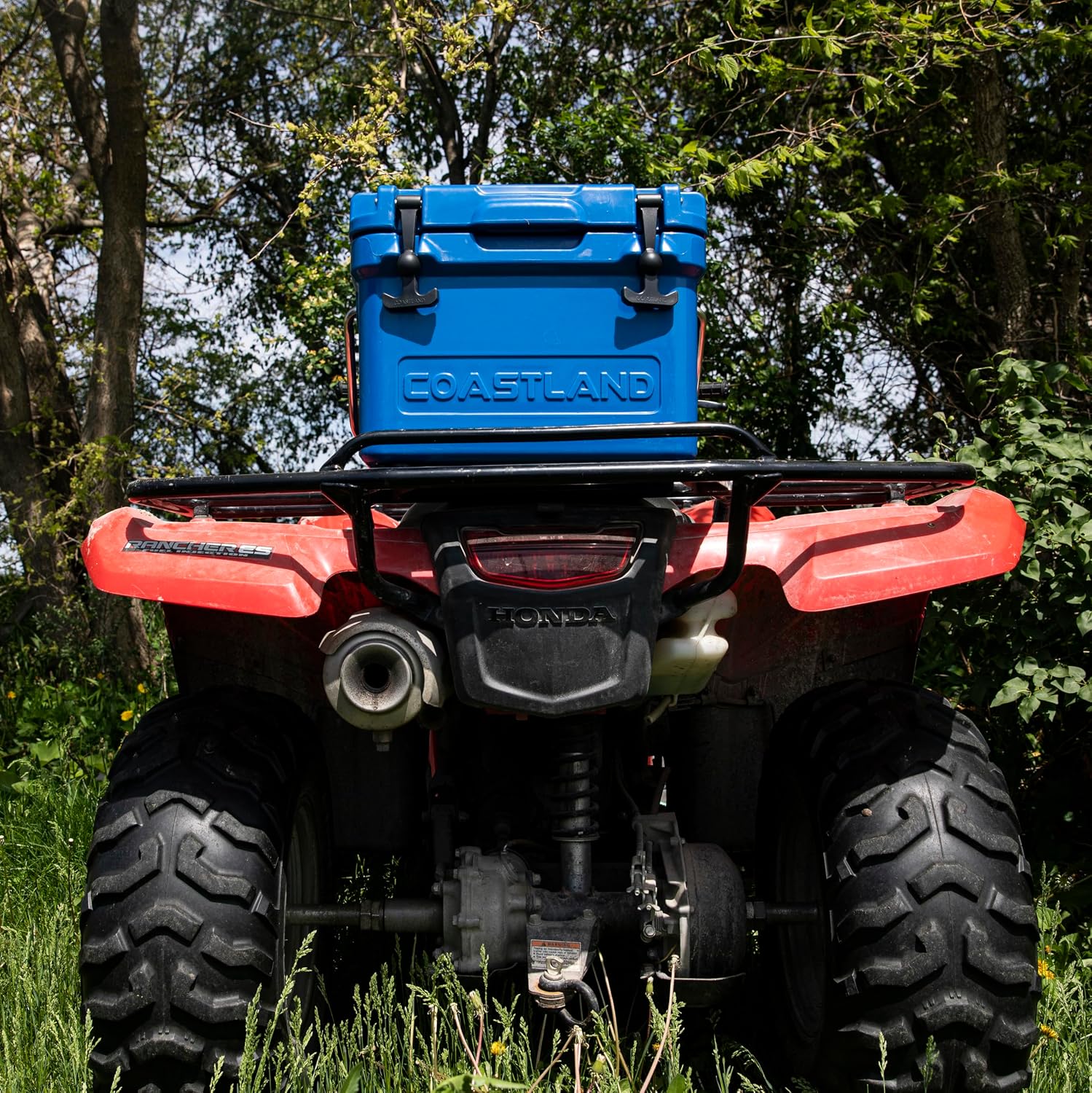 Coastland Bay Series Cooler Premium Everyday Use Insulated Rotomolded Cooler, Small Ice Chest for Tight Spaces, Soccer Games, & Tailgates