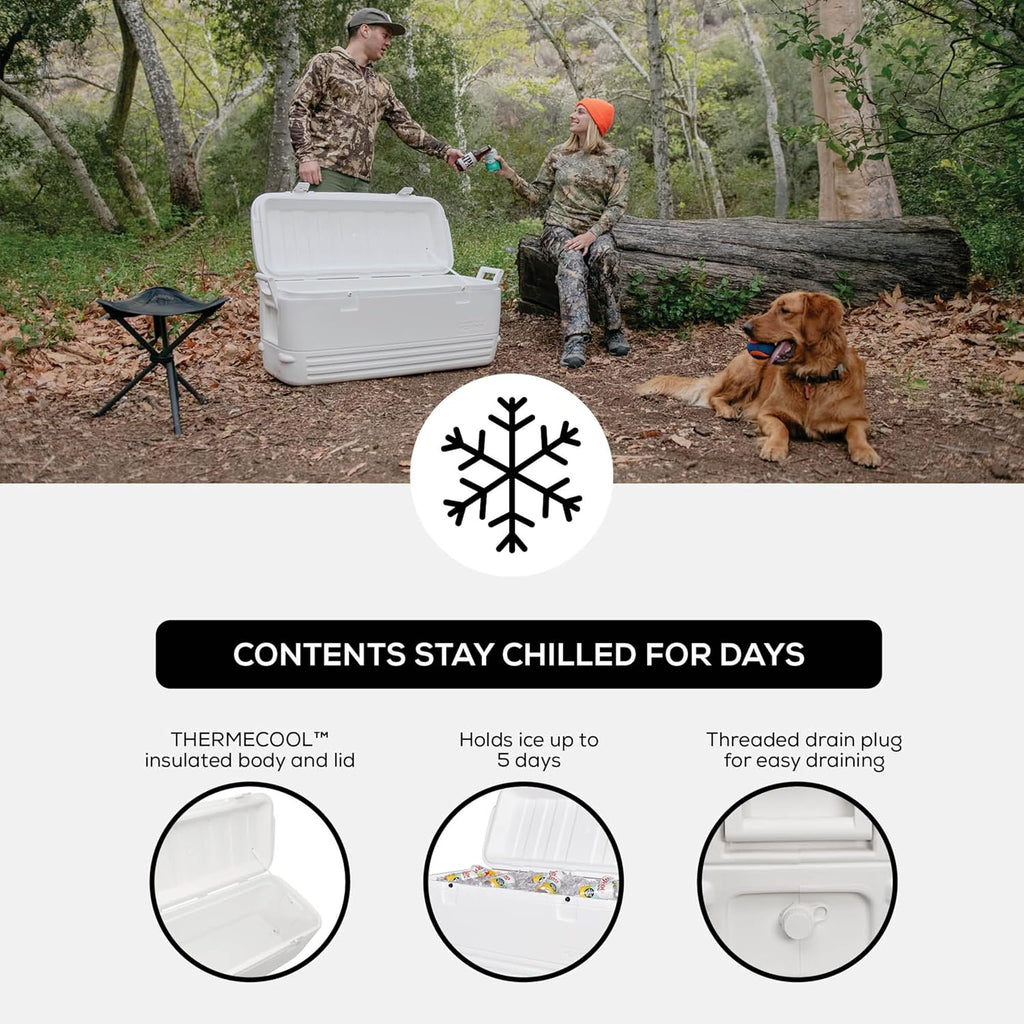 Igloo Hard Cooler | Polar & Party Bar Series | Insulated Ice Chests