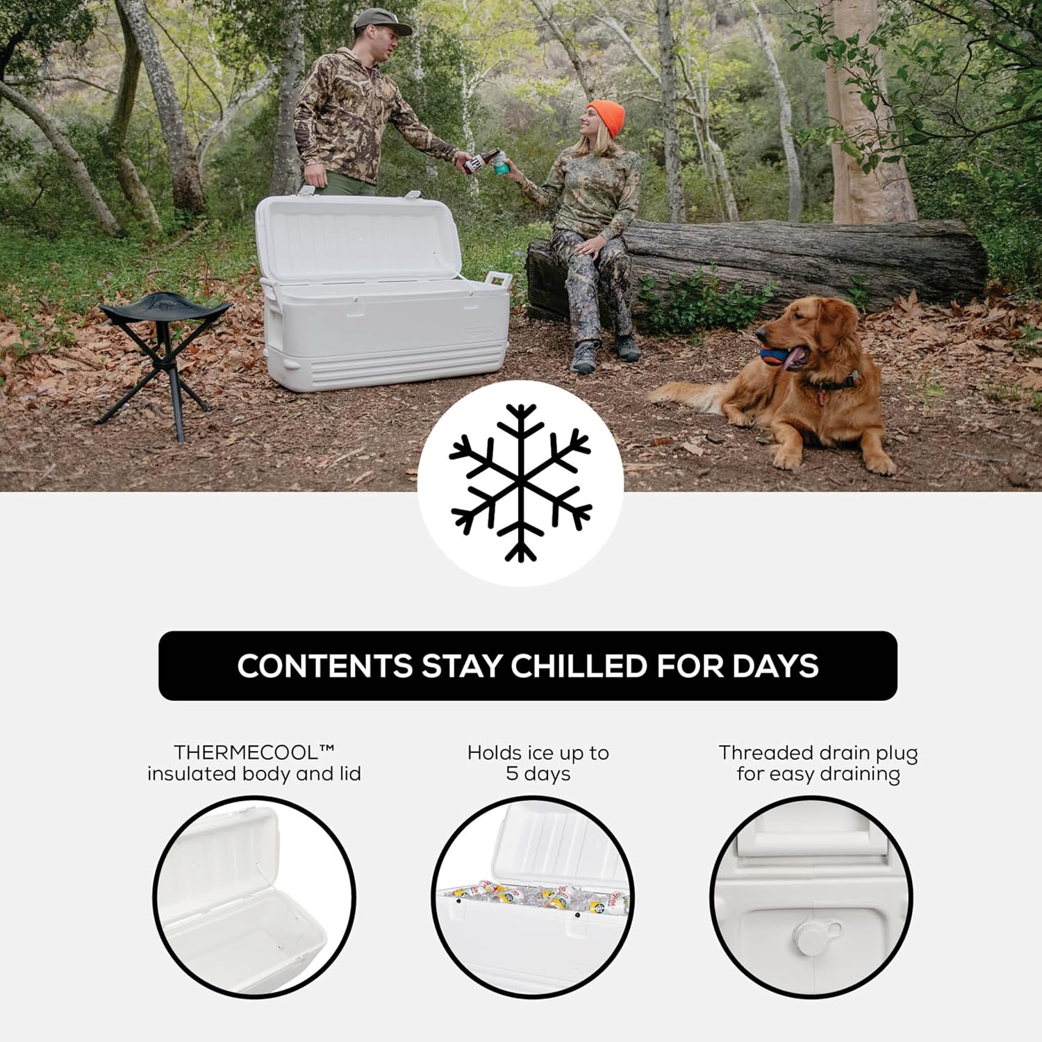 Igloo Hard Cooler | Polar & Party Bar Series | Insulated Ice Chests