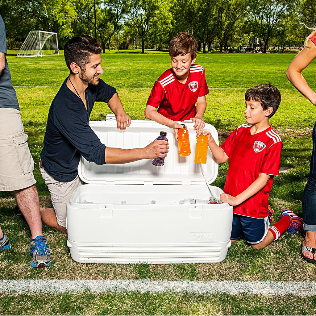 Igloo Hard Cooler | Polar & Party Bar Series | Insulated Ice Chests